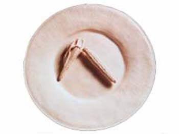 m_cornplate2