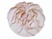 l_whitecorn